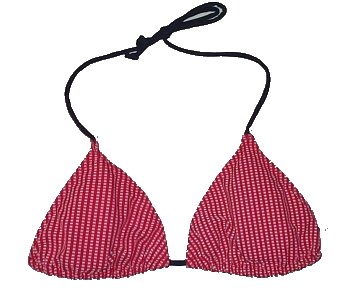 STYLE & CO. Red Check String Bikini Top - Size 12