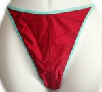 DELFINA Sexy High Cut Bikini Bottoms Swimsuit Separates - Misses 11/12 - NEW